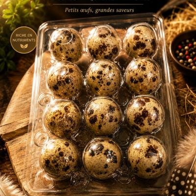 OEUFS DE CAILLE