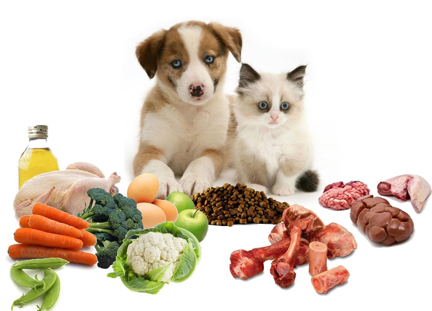 ALIMENTS POUR LES ANIMAUX DE COMPAGNIE