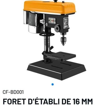 Foret d'établi