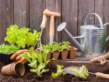 JARDINAGE
