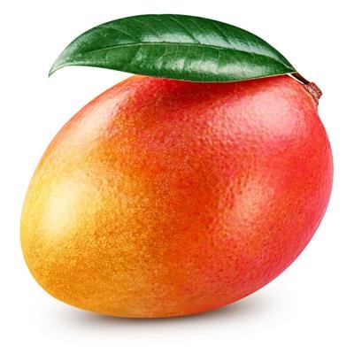 MANGUE