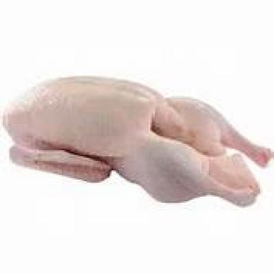 POULET IMPORTER